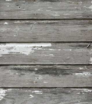 Vertical view of natural wood patina clapboard siding showing worn remnants of white paint and weathered rough boards with strong wood grain, knots, and small loose wood pieces