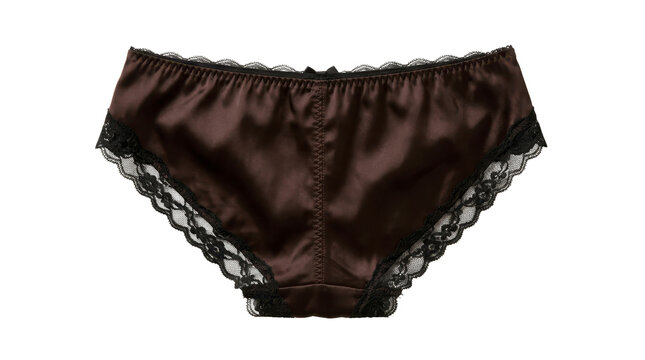 Brown silk lace panties on a transparent background PNG image
