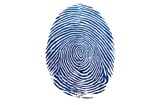 Blue thumbprint with concentric whorl pattern