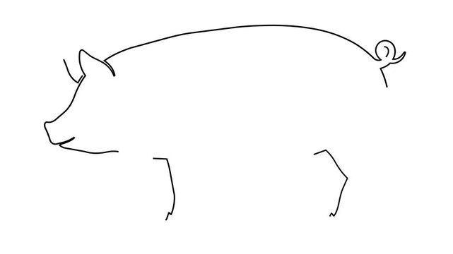 Happy Pig.
A clean, minimalist 2D animation of a pink pig outlined in black over a solid red background. Perfect for farm themes, livestock concepts, agriculture,   and children's content.