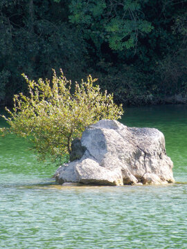 Gran roca emergiendo de un lago de aguas verdes con vegetaci&oacute;n creciendo sobre ella y un frondoso bosque al fondo. Paisaje natural tranquilo iluminado por la luz del d&iacute;a.