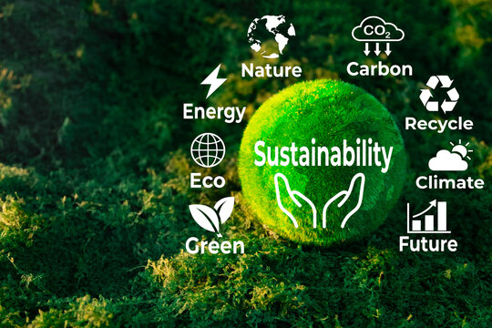 Sustainability and ESG concept. Green moss ball surrounded by eco-friendly icons like carbon reduction, recycle, and climate on a natural background. Environmental protection and future.