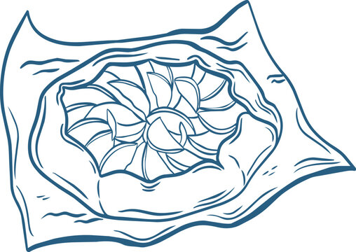 Galette pie sketch. Hand drawn rustic fruit tart or open face pastry on parchment paper outline illustration. Line art vector for bakery design.