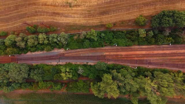 Overhead view of railway junction between wooded embankments. Multiple railway tracks and switches curve between tree lined embankments, bordered by golden farmland and green crops.