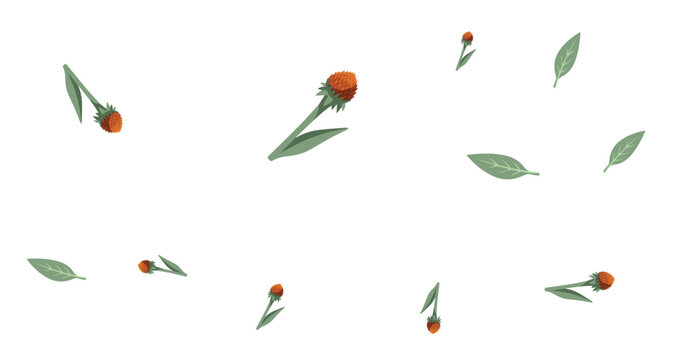 orange calendula flowers with green leaves scattered on white background minimal arrangement natural elements