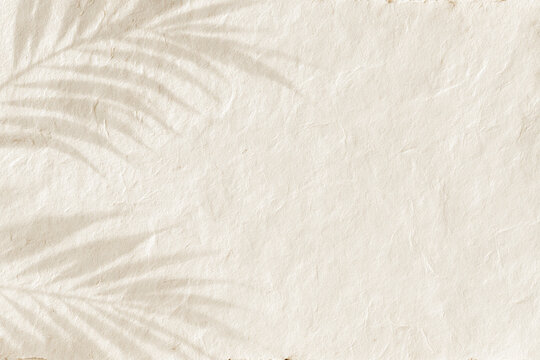 A soft natural palm leaf shadow cast across a textured cream-colored handmade paper background creating an elegant minimalist and serene aesthetic for artistic design