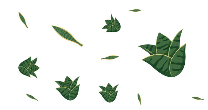 green geometric leaves with dark green shapes and natural accents on white background