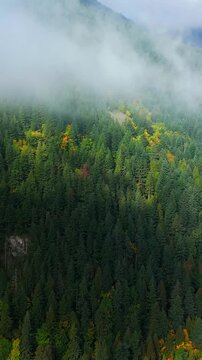 Aerial view of colourful forest on mountain slopes and cloudy sky. Canada