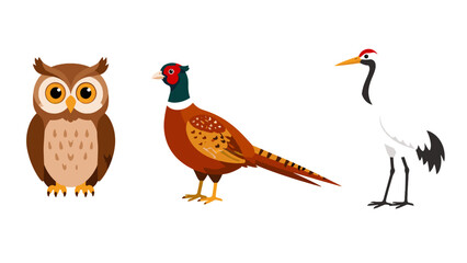Obraz premium Cartoon owl pheasant and crane bird vector set