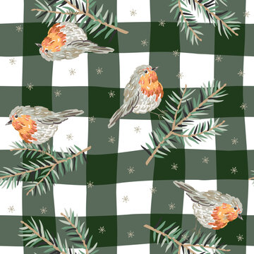 Christmas seamless pattern, robin birds, green fir twigs, snowflakes, gingham background. Vector illustration. Cozy design. Season greeting. Winter holidays