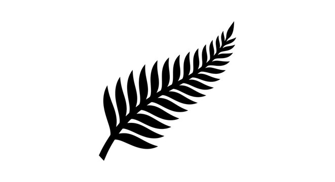 Silver fern frond black silhouette against a white background silhouette