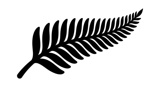Fern frond silhouette against a white background a botanical black shape