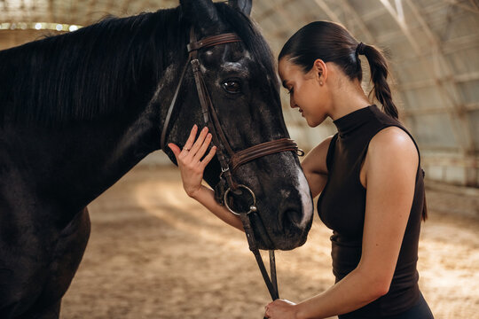 Young woman gently interacts with a black horse inside an indoor riding arena, showcasing a bond between human and animal in a stable environment