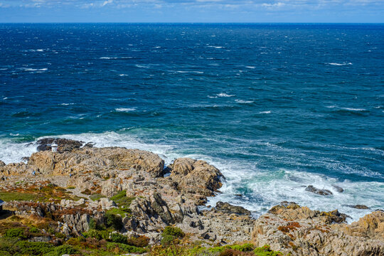 K&uuml;ste am Kullaberg, Schonen, Schweden