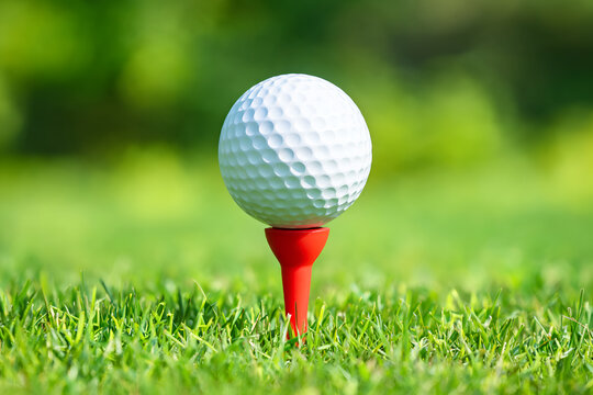 Macro view golf ball on red tee Fresh green grass below Bright daylight outdoor recreational sport activity detailed texture