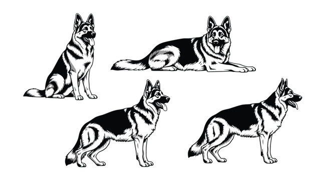 Collection of German Shepherd dog illustrations showing the breed in standing, sitting, and lying down positions.