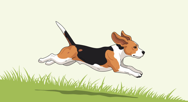 Energetic illustration of a beagle dog running fast through green grass under a light green sky in a flat vector art style.