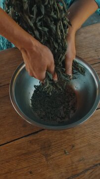 close view of hands crumbling dried herbs into steel bowl on rustic wooden table with soft light above