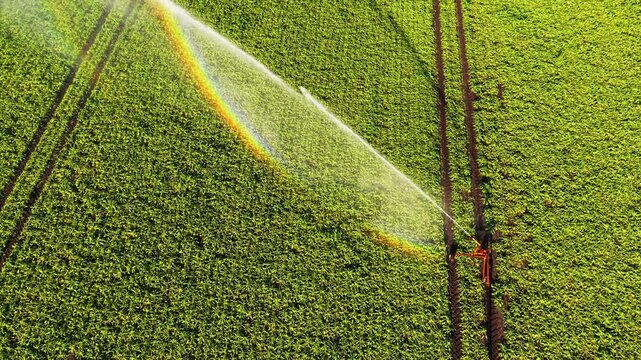 Aerial view of a field irrigation sprinkler with a rainbow in the water spray