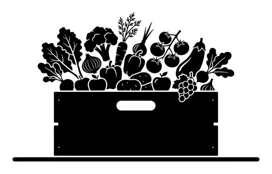 Community Supported Agriculture (CSA) Box Vector Illustration