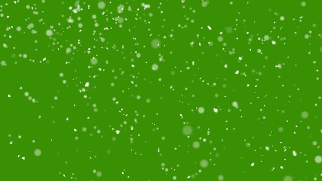 Falling snow flowing wind isolated green screen chromakey