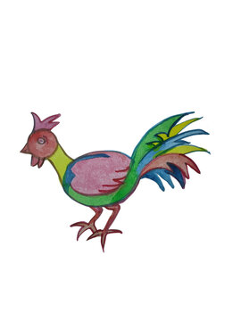 Colorful hand drawn rooster illustration
