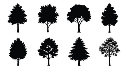 Tree Silhouettes Collection Black Shapes On White Background © Urmi512