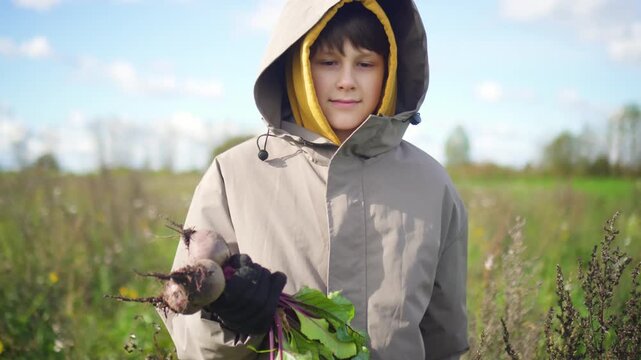 Teenager farmer holds freshly harvested beetroot in field. Youth learns agricultural skills while gathering crops. Curious child works outdoors on sunny day. boy helps gather the harvest on the farm