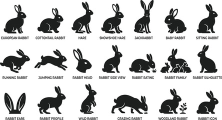 Rabbits and Hares Black Silhouette Vector Icon Set Featuring Running Jumping Sitting Grazing Family and Ear Graphic Elements © mdferozhossain