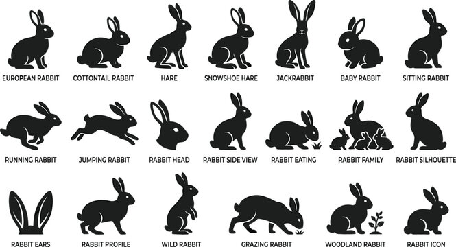 Rabbits and Hares Black Silhouette Vector Icon Set Featuring Running Jumping Sitting Grazing Family and Ear Graphic Elements