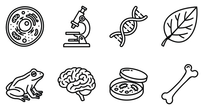 Biological science and anatomy outline icon set for education and research with microscope research education laboratory genetics organism