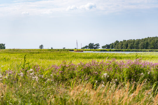 Traditional Wooden Sailing Boat in Narrow Channel of Vorpommersche Boddenlandschaft National Park