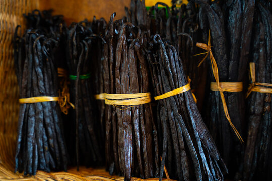 Vanilla bean bundles at market &ndash; close-up
