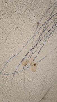 Tainted concrete wall