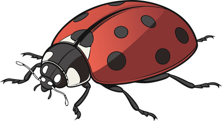 Small black and red ladybug beetle isolated on transparent background, detailed insect illustration. © Al Noman