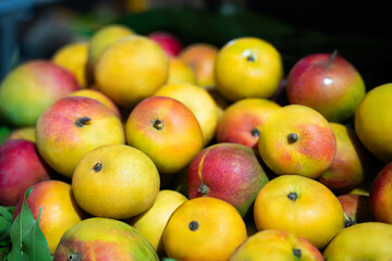 Mixed ripe mangoes at market © ProShine Studio