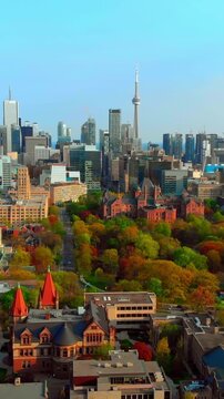Historic redbrick rooftops and spires framed against toronto skyline, aerial travel influencer perspective highlights contrast between heritage architecture and glass towers with autumn trees below.