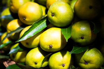 Green mangoes with leaves © ProShine Studio