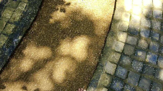 Sunlight patches and shadows on gravel path and paved stone walkway outdoors nature background