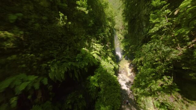 Los Tilos, La Palma, Canary Islands, Spain