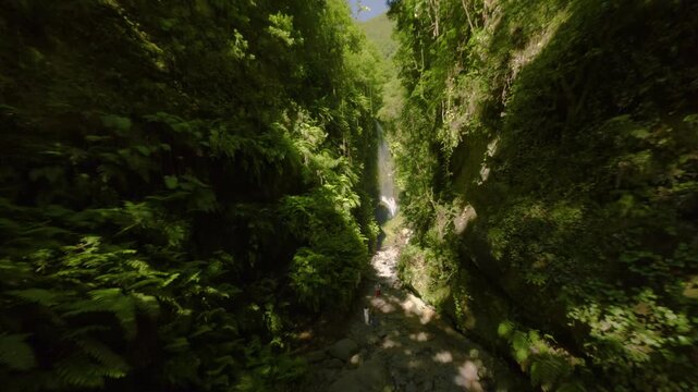Los Tilos, La Palma, Canary Islands, Spain