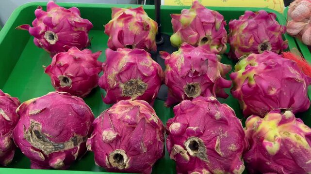 Rows of Fresh Organic Dragon Fruits Packed in Green Market Crate