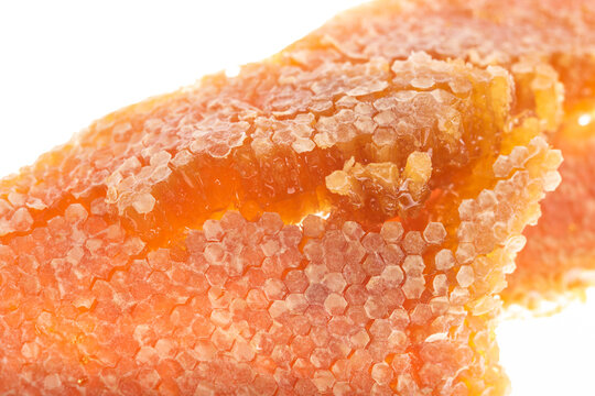Honeycomb with Open Honey Cells and Wax Caps Close Up