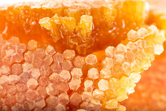 Extreme Macro of Broken Honeycomb with Liquid Honey and Wax Caps