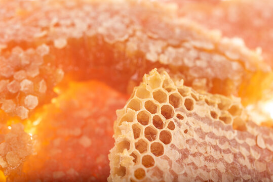 Macro Edge of Honeycomb with Open Honey Filled Cells