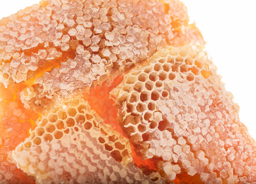 Close Up of Natural Honeycomb Edge with Golden Honey