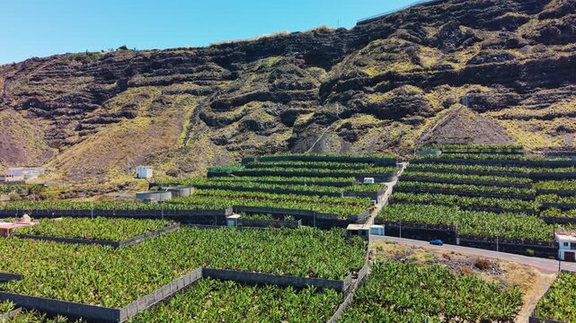 La Palma, Canary Islands, Spain