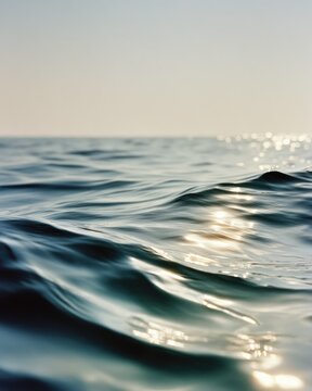 Gentle waves ripple under soft sunlight, creating serene and calming atmosphere