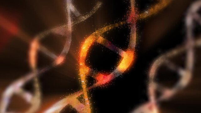 
The DNA chain rotates in a helix.This video make a perfect concept for human DNA, microbiology, RNA protein, pharmaceutical health, genetics, stem cell research, healthcare, or the human genome.
