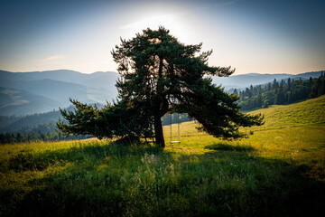 Huśtawka Pieniny piękne widoki, lato  © Maciej G. Szling